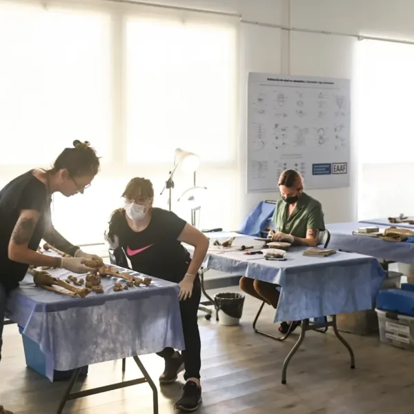 A 50 años del golpe de Estado: recuperar e identificar a las personas desaparecidas